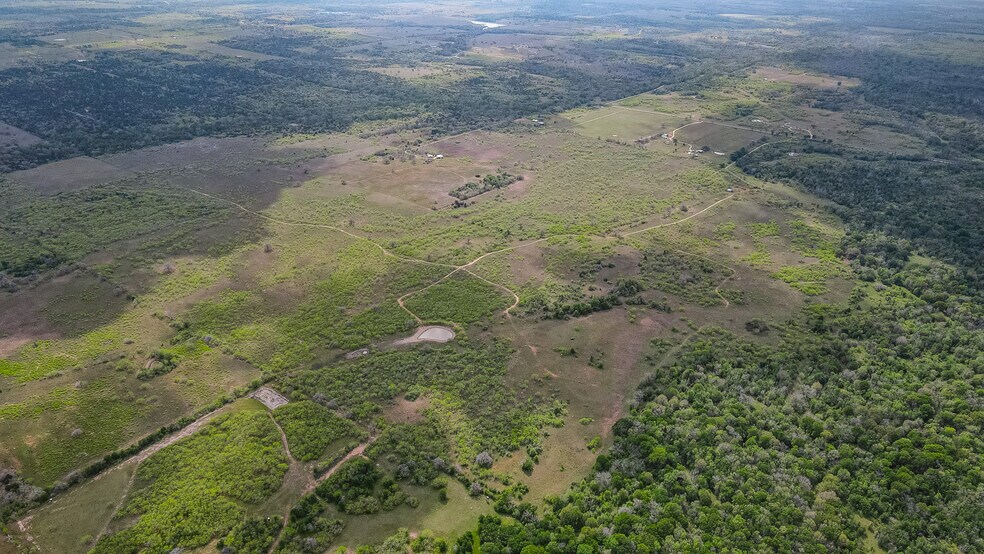 More Photos Of TBD Sparta Field Road, Waelder Land For Sale