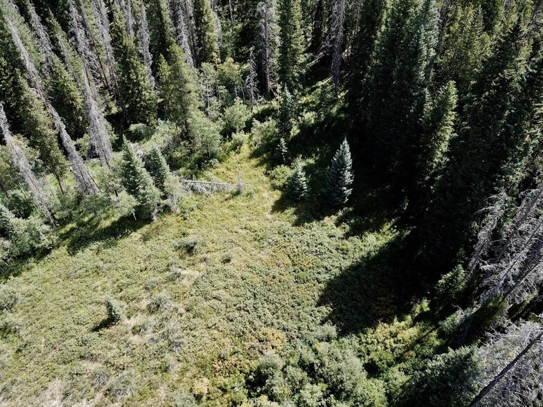 More Photos Of Tbd Ski Idlewild Rd Tract G, Winter Park Land For Sale