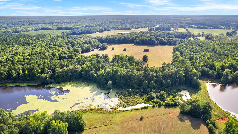 More Photos Of 4091 Hollonville Rd, Williamson Land For Sale