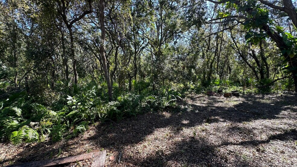 More Photos Of 1676 Hermosa Dr, Palm Harbor Land For Sale