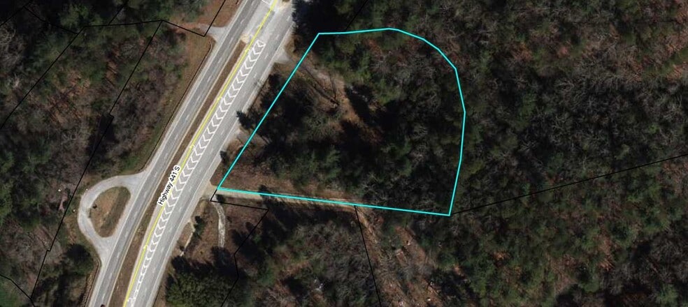 More Photos Of 8779 Highway 441, Lakemont Land For Sale