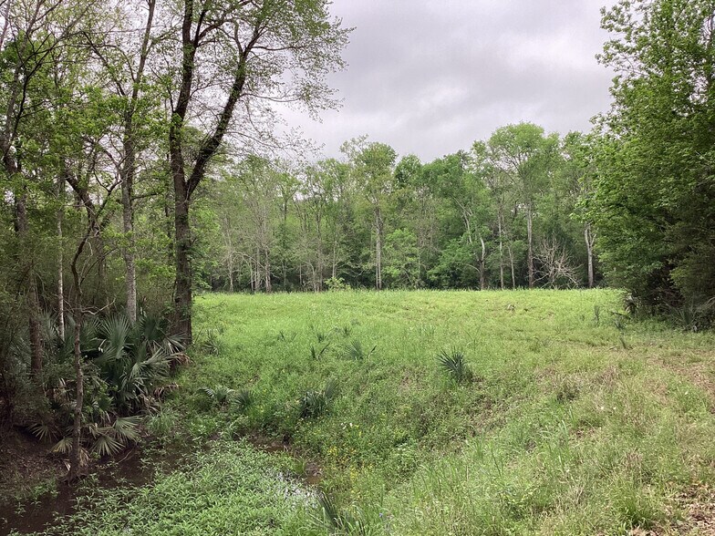 More Photos Of 0 County Road 4876, Dayton Land For Sale