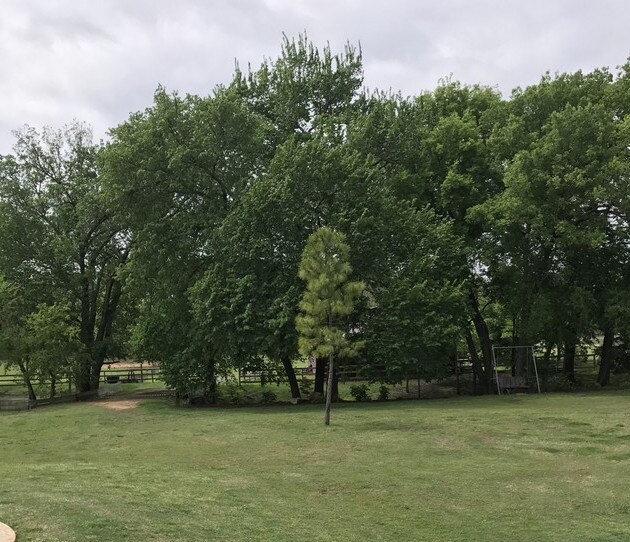 More Photos Of 6071 CR 161, McKinney Land For Sale