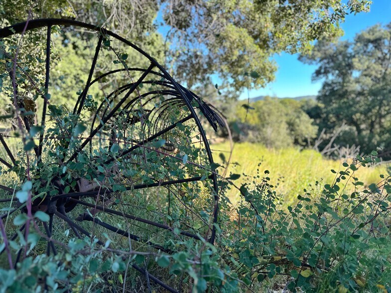 More Photos Of 29820 Old Mitchell Camp Road, Warner Springs Land For Sale