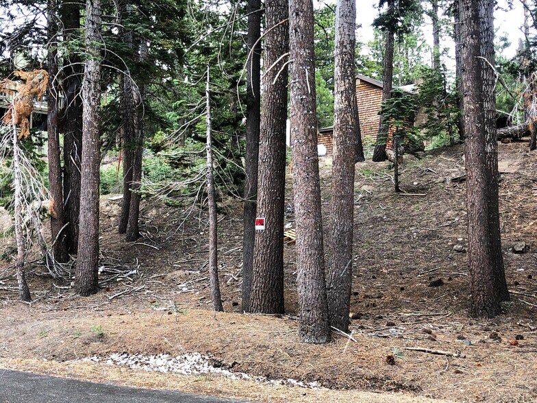 Primary Photo Of 3 Berner st, Mammoth Lakes Land For Sale