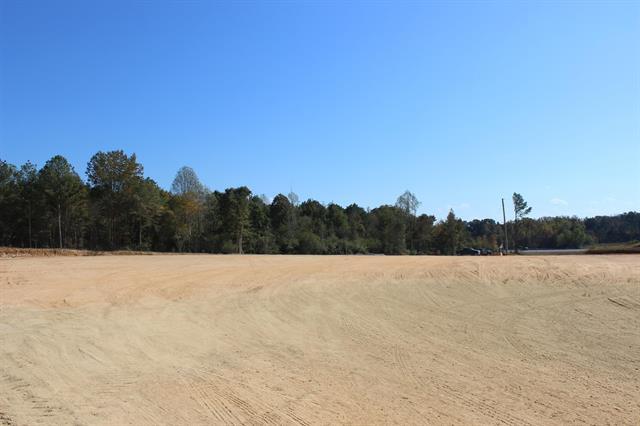 Primary Photo Of 0 Alabama 157 Hwy, Cullman Land For Sale