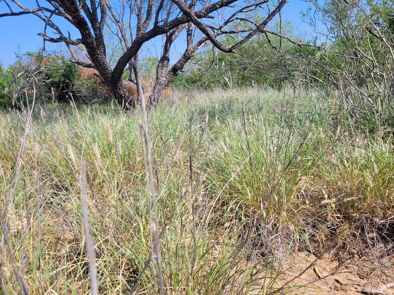 More Photos Of , Laredo Land For Sale