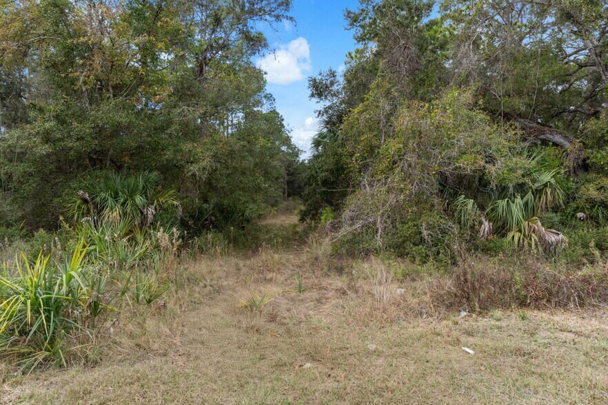 More Photos Of 11570 W Garnet Ct, Crystal River Land For Sale