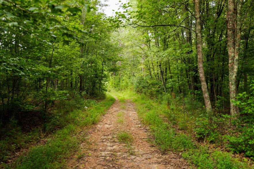 More Photos Of 2199 Roosterville Rd, Roopville Horse Stables For Sale