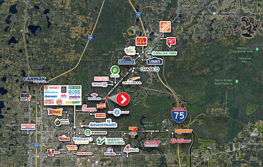 More Photos Of 15302 Amberly Dr, Tampa Bank For Lease
