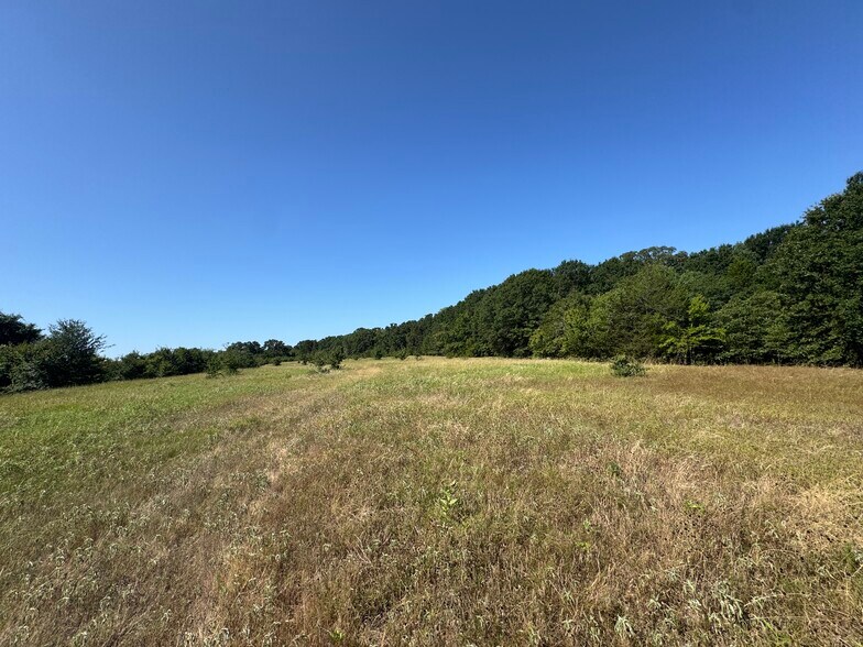 More Photos Of 000 FM 751 Rd, Quinlan Land For Sale