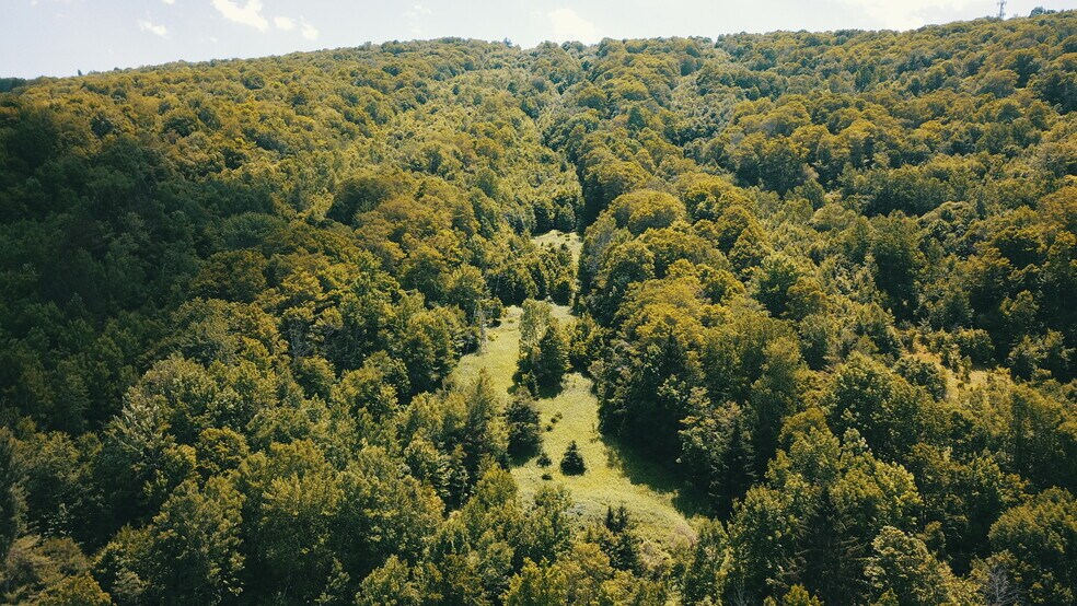 More Photos Of 101 Galli Curci Rd, Arkville Land For Sale