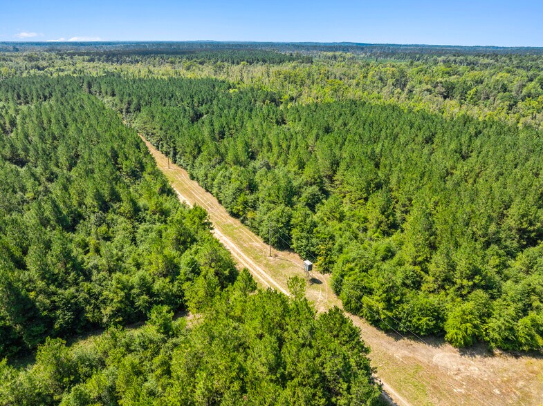 More Photos Of 7471 Highway 155, Saline Land For Sale