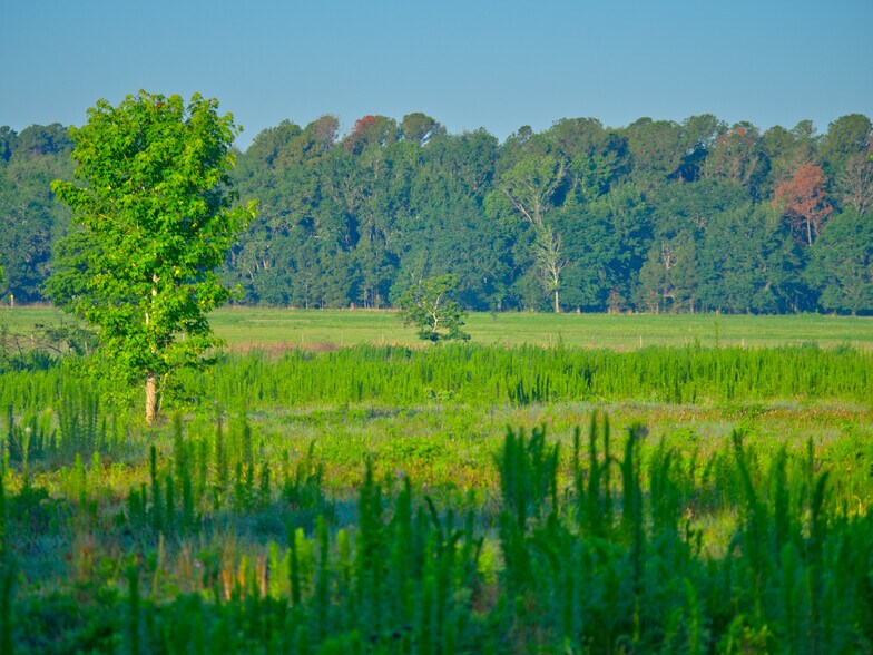 More Photos Of 3267 Neff Lake Rd, Brooksville Land For Sale