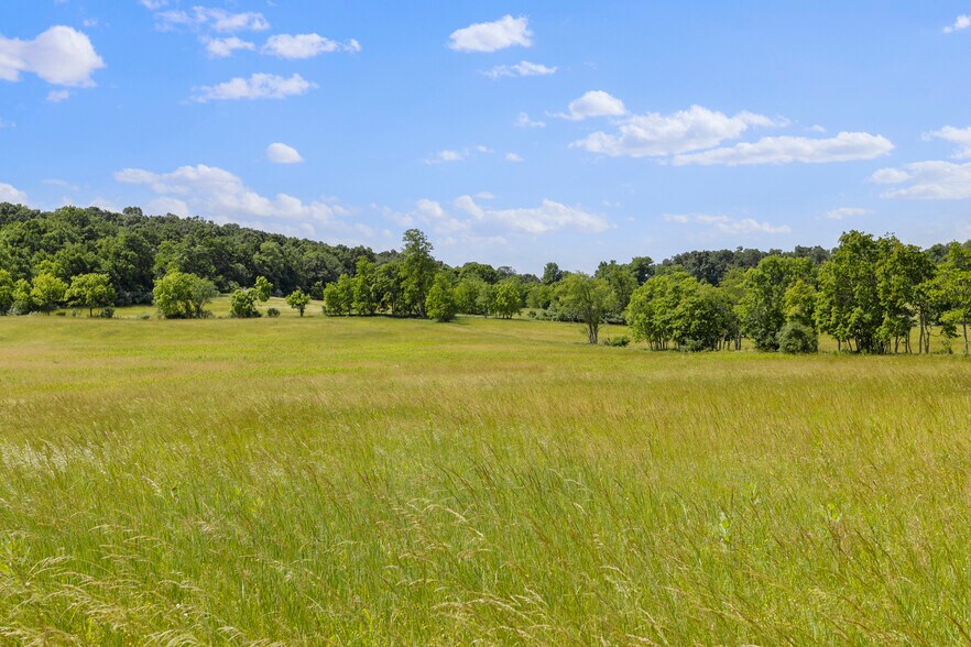 More Photos Of 3648 Dominion Rd, Gerrardstown Land For Sale