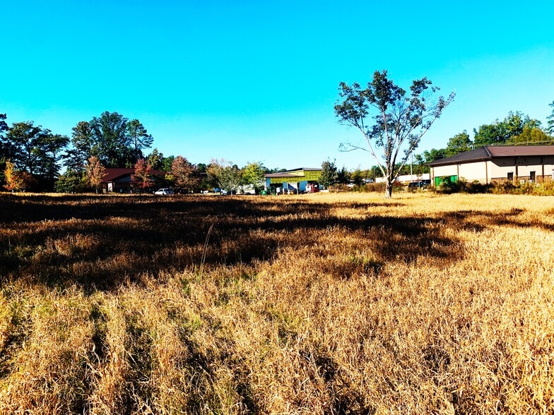 More Photos Of 111 Snapdragon, Chapin Land For Sale