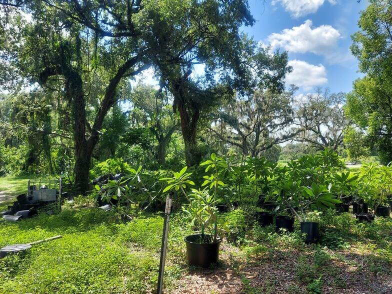More Photos Of 453 W Dr. Martin Luther King Jr. Blvd, Seffner Land For Sale