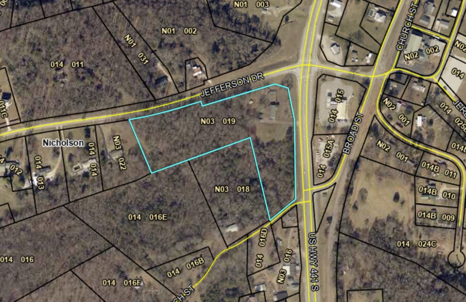 Primary Photo Of 5246 HWY 441, Nicholson Land For Sale