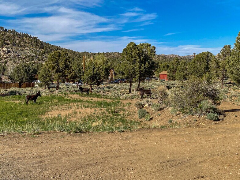 More Photos Of 550 Eagle Rdg Ln, Big Bear Lake Land For Sale