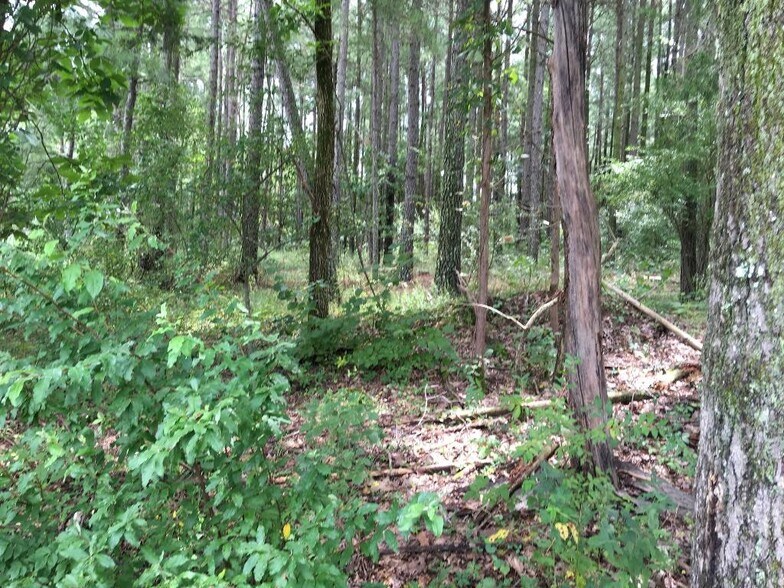 More Photos Of Parrish Ridge Ln, Goreville Land For Sale