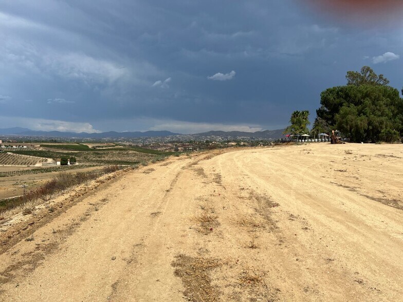 More Photos Of 41220 Calle Contento, Temecula Winery Vineyard For Sale