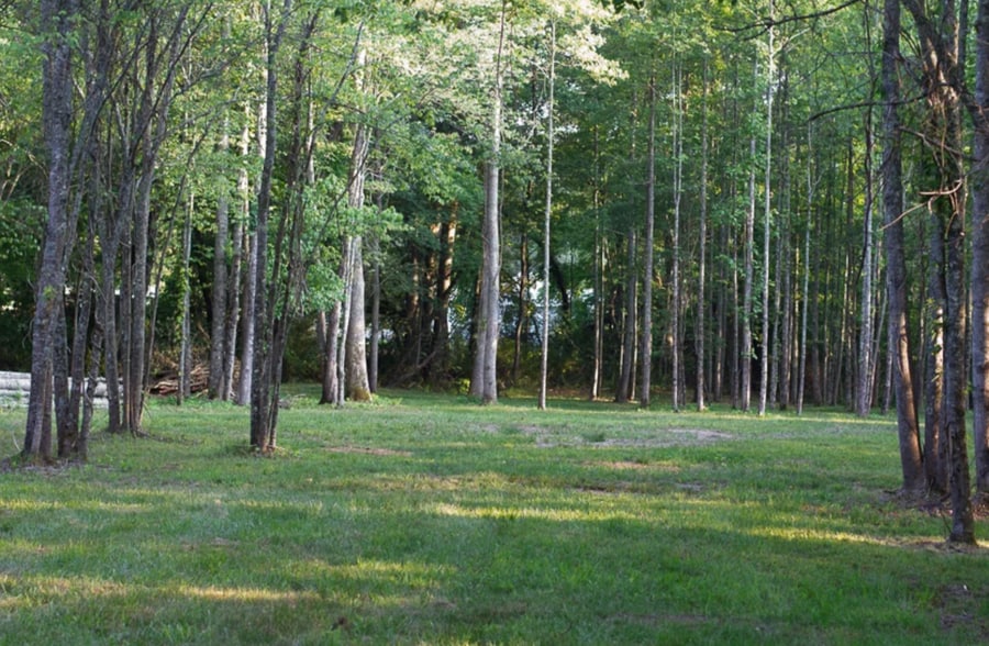 More Photos Of 391 Forest Service Rd, Blairsville Lodge Meeting Hall For Sale