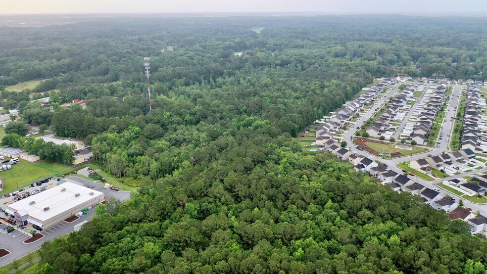 More Photos Of 115 Bamboo Ln, Savannah Land For Sale