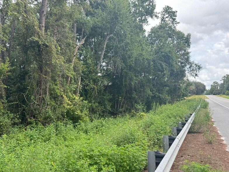 More Photos Of Noah Raulerson Road, Sanderson Land For Sale