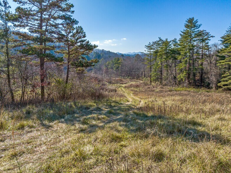 More Photos Of 300 Baird Cove Rd, Asheville Land For Sale