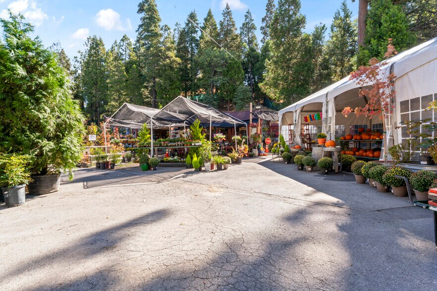 More Photos Of 303 CA-173 Hwy, Lake Arrowhead Garden Center For Sale