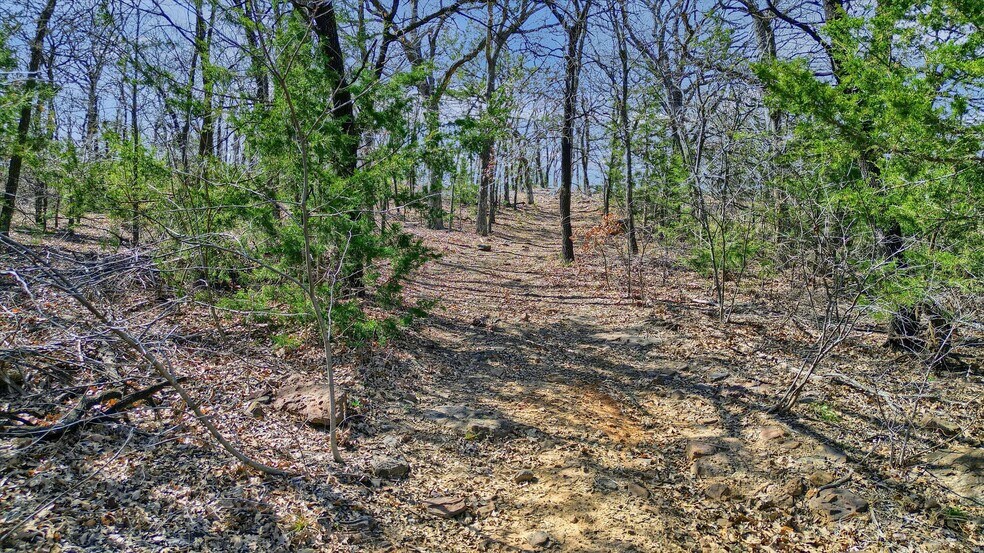 More Photos Of 278 Neely Trl, Gainesville Land For Sale