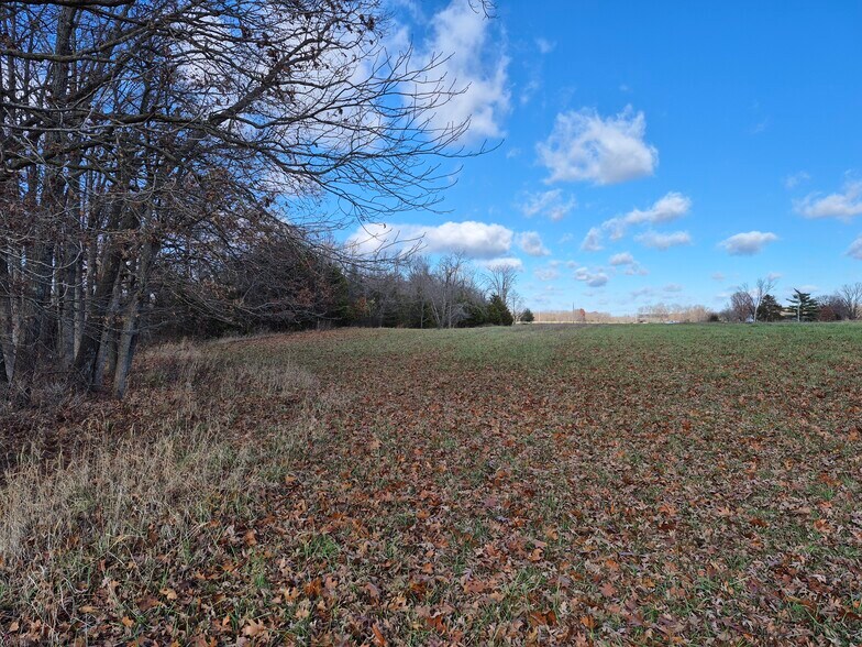More Photos Of Logan School Rd. (30.2+/- Acres), New Florence Land For Sale