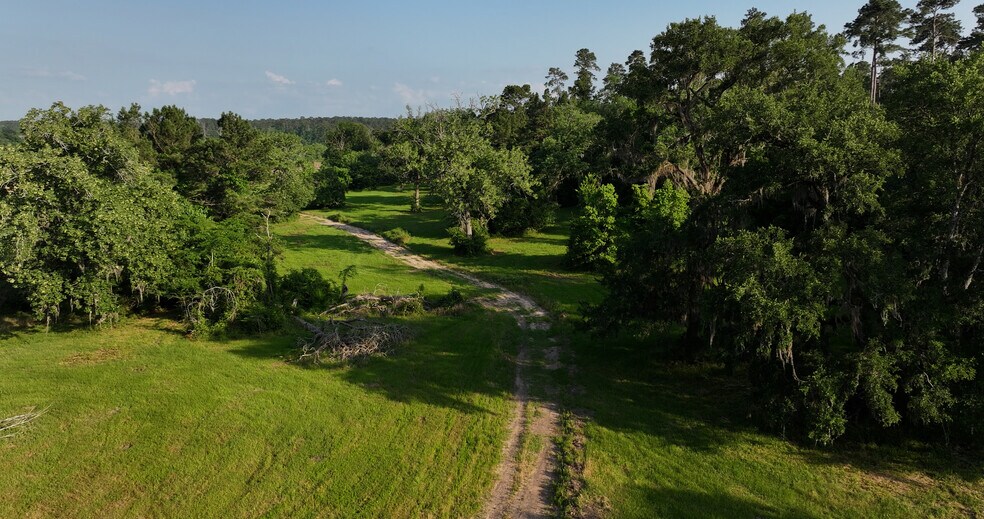 More Photos Of 2268 FM 1486, Montgomery Land For Sale