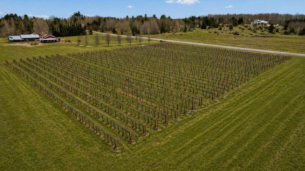 More Photos Of 8370 Lakeview Rd, Alanson Winery Vineyard For Sale