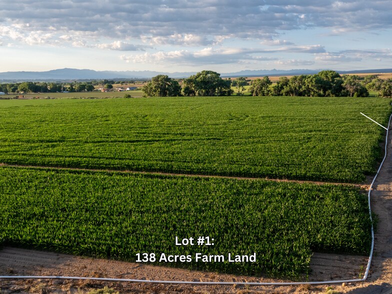 More Photos Of 53582 Falcon Rd, Olathe Winery Vineyard For Sale