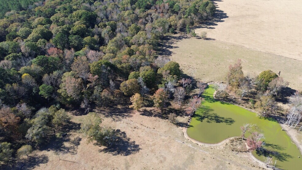 More Photos Of 269 Pea Ridge Rd, Montrose Land For Sale