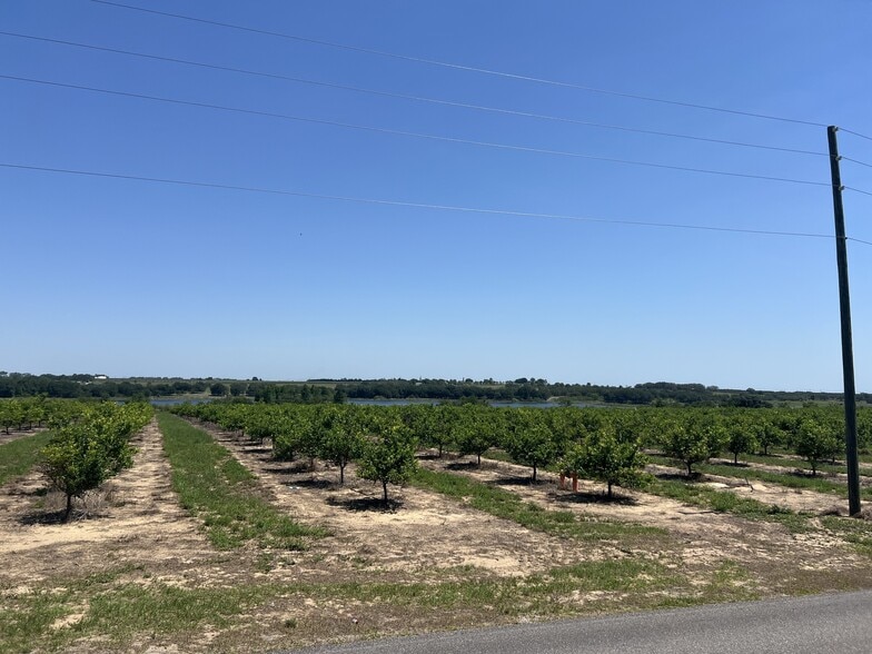 More Photos Of Lake Marie Dr, Dundee Land For Sale