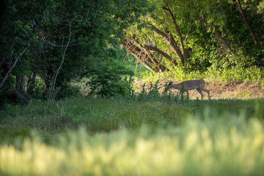 More Photos Of 250 Ute Rd, Delphos Land For Sale
