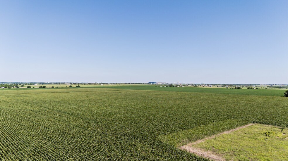 More Photos Of TBD County Road 405, Taylor Land For Sale