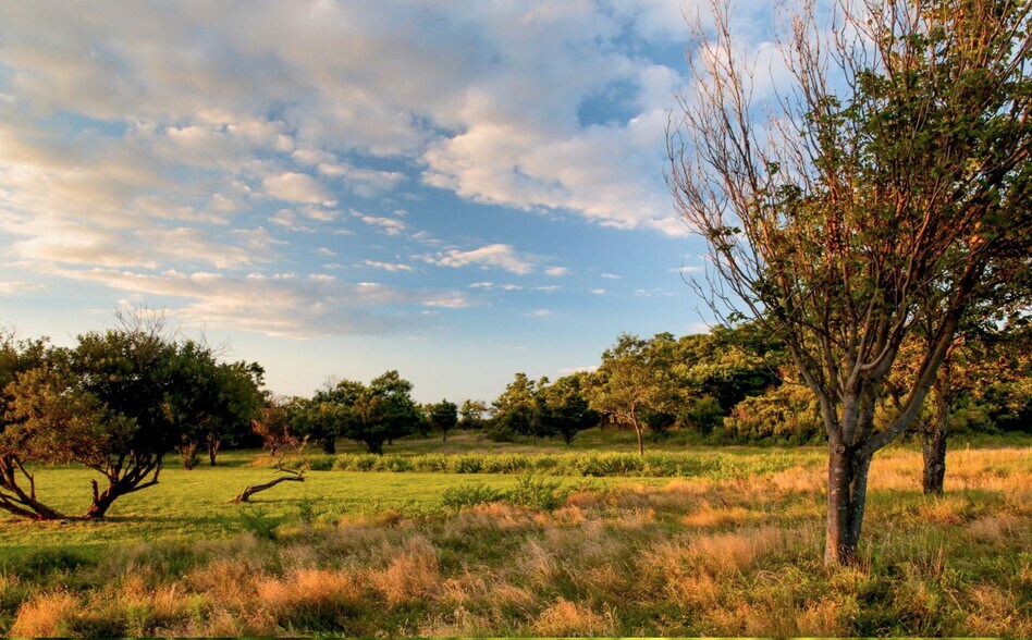 More Photos Of 805 North Rd, Greenport Land For Sale