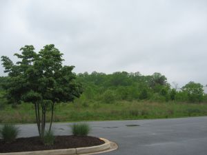 Primary Photo Of 232 W Dares Beach Rd, Prince Frederick Land For Lease