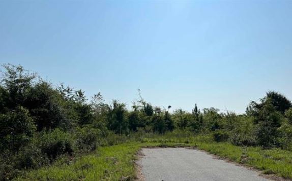 More Photos Of Hwy 87 & 87 Bypass, Cochran Land For Sale