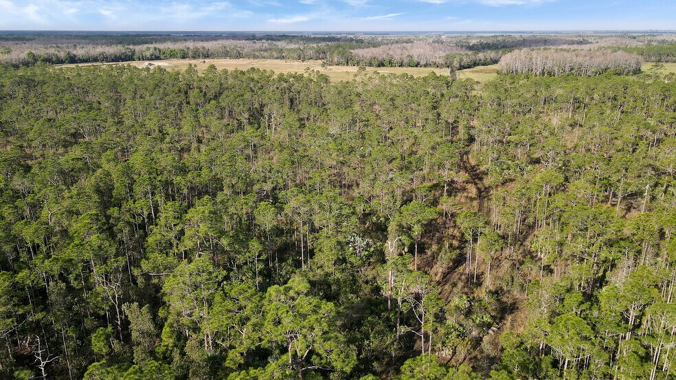 More Photos Of TBD SW Warfield Rd, Indiantown Land For Sale