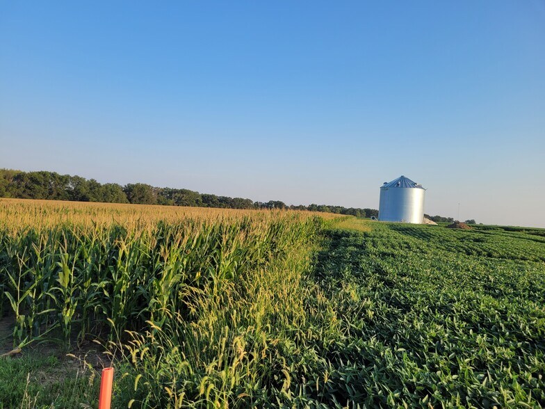 More Photos Of Highway DD (85.69+/- Acres - Tract E), Bellflower Land For Sale