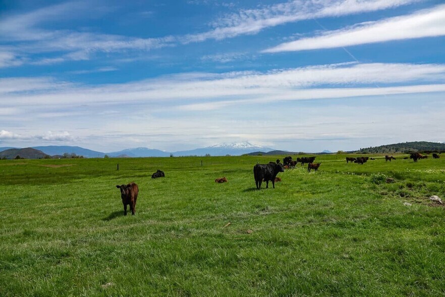 More Photos Of 1834 E. State 3 Hwy, Montague Land For Sale