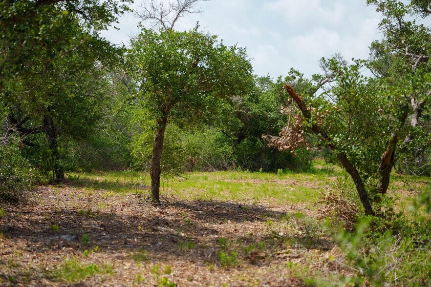 More Photos Of 704 South Highway 35 Byp, Rockport Land For Sale