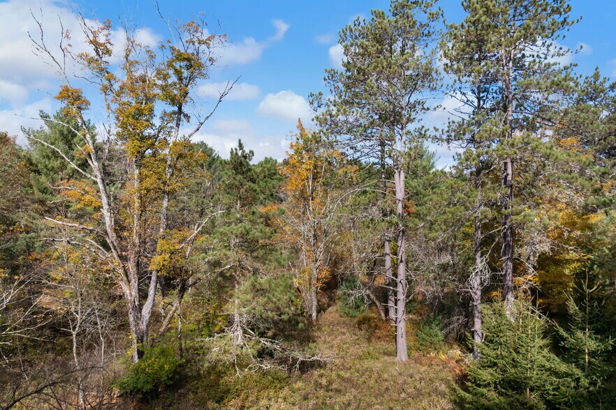 More Photos Of 378 Gregory Rd, Monticello Land For Sale