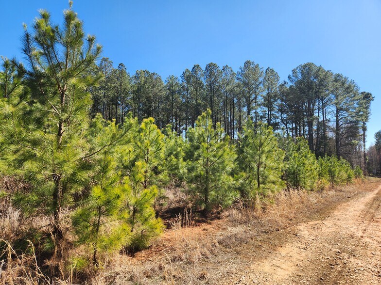 More Photos Of 3004 U.S. 401 Hwy, Louisburg Land For Sale