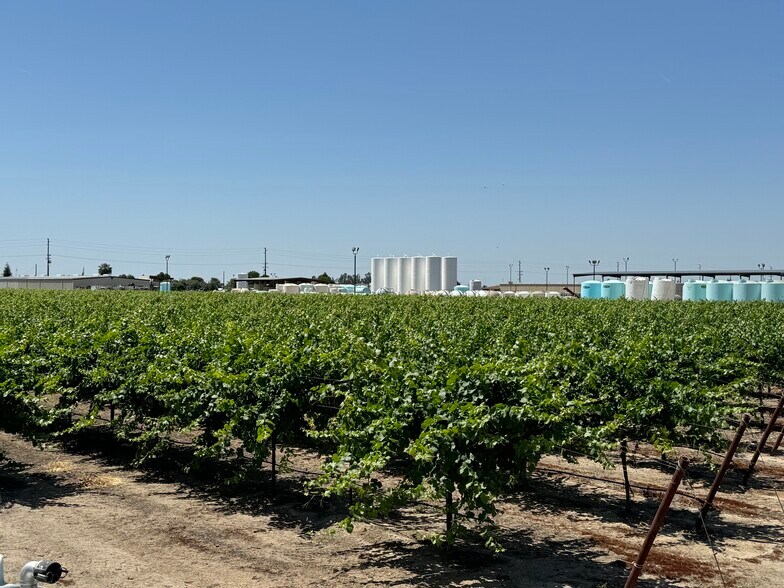 More Photos Of 25203 Road 212, Lindsay Land For Sale