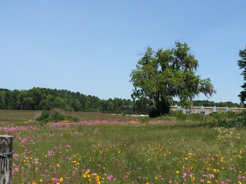 More Photos Of US Hwy 129, Live Oak Land For Sale